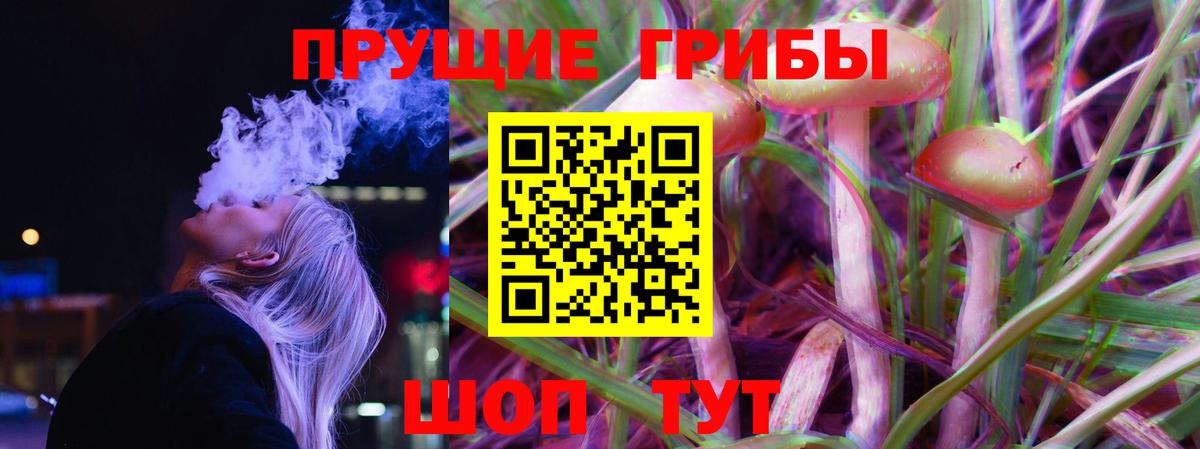 сколько стоит  Псилоцибиновые грибы прущие грибы  Вход с VPN  Советск  Галлюциногенные грибы MAGIC MUSHROOMS 